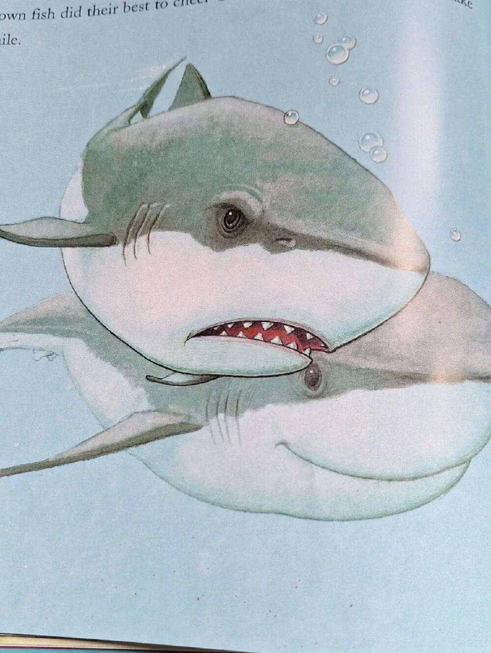 Gilbert The Great Plush Shark Toy And Storybook,Gray and Cream Soft Stuffed Fish